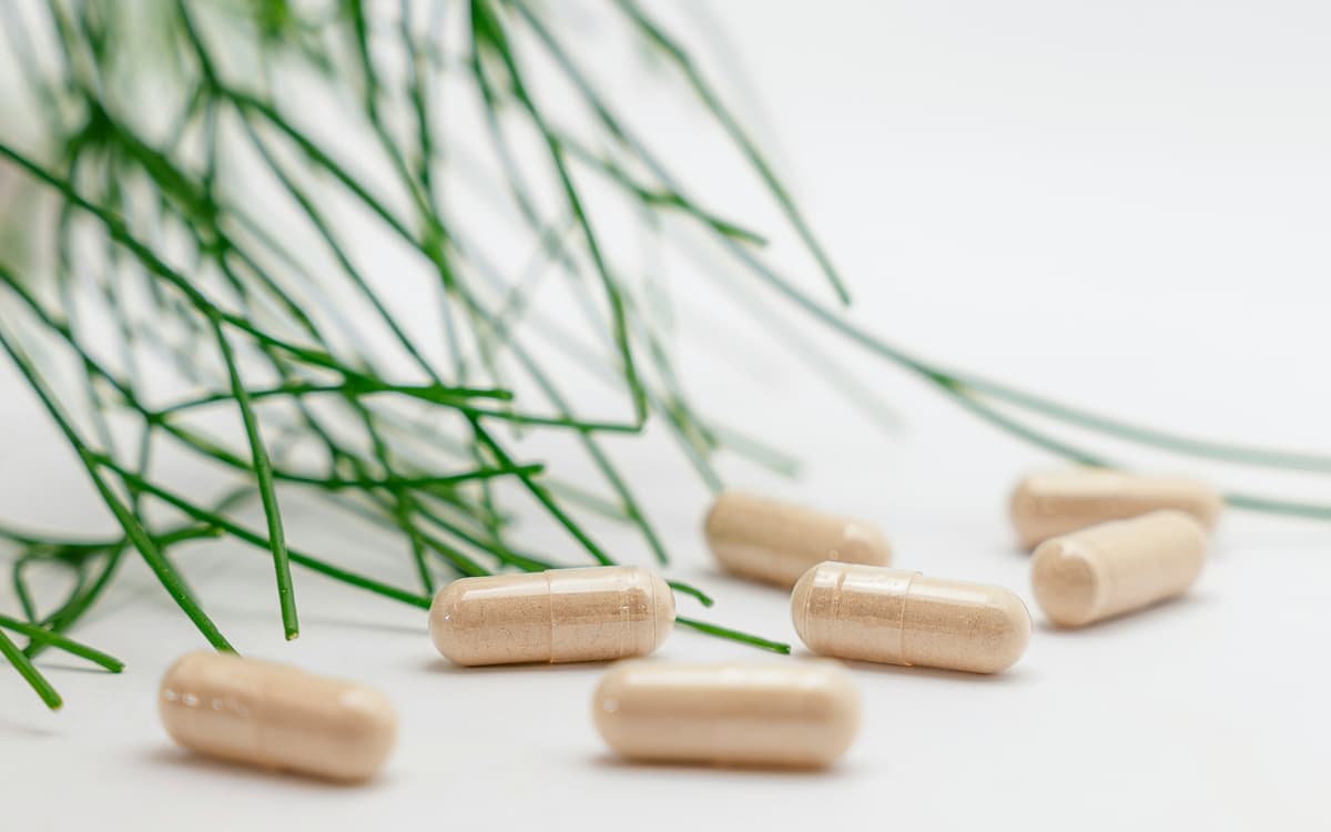 Nutraceutical merchant account services